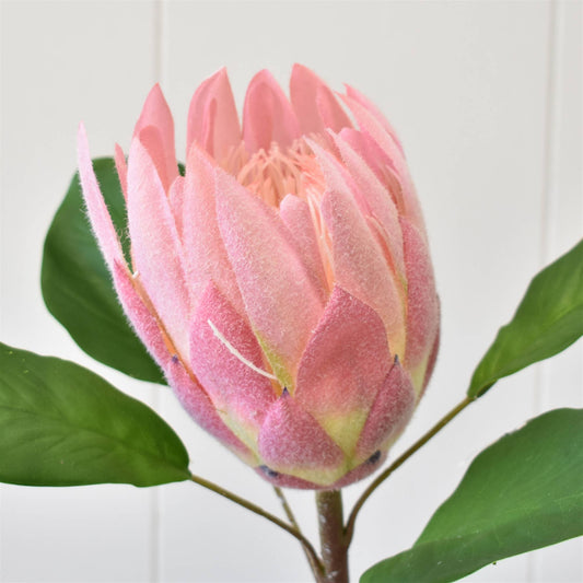Protea Spray 22” - Pink