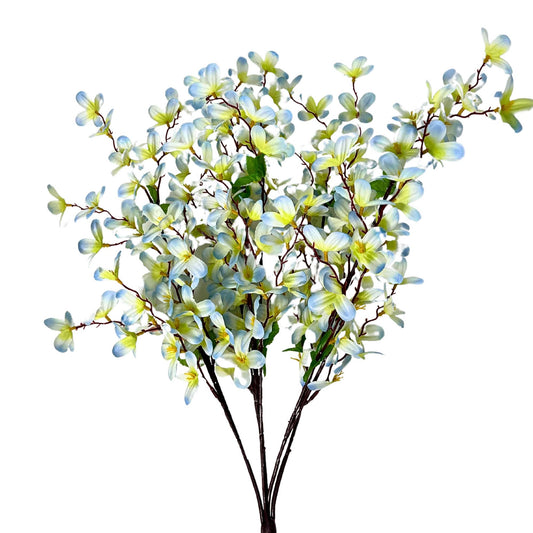 Tweedia Bush x 5 - 24” - Blue/Green