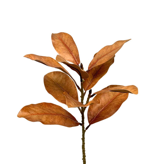 EASTERN LT. BROWN MAGNOLIA LEAF SPRAY 21.5"