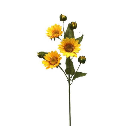 Wild Sunflower x 5 Golden 28"