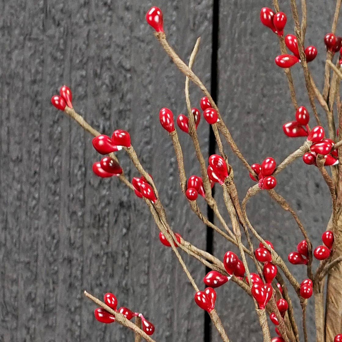 ISB13600RD- 20in Pips Spray-Red