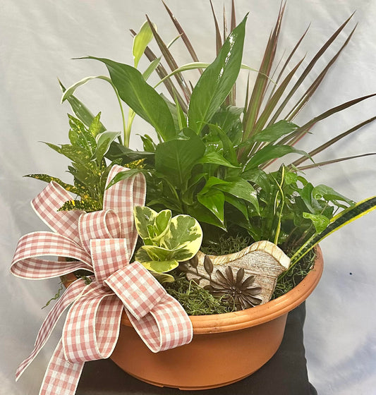 Dish Garden Planters